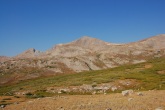 pic3