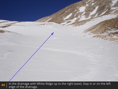 #5