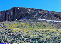 #15