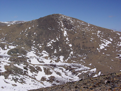 Mt. Wilcox