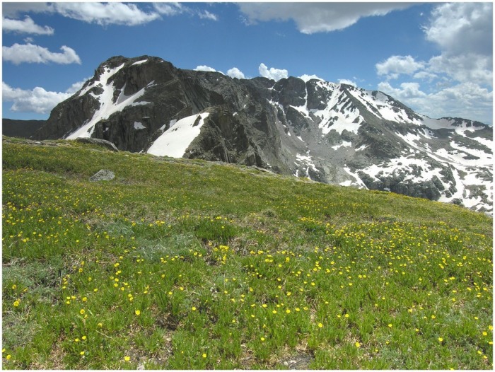 Isolation Peak