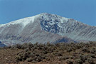 pic11