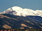 pic3