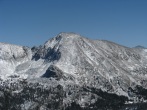 pic1