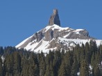pic2