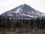 pic5