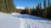 #7) Road in the morning