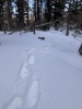#2) East ridge snowshoe depth