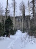 #3) Rainbow trail trench