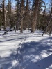 #2) Trench on lower ridge