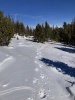 #3) At treeline