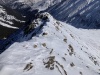 #5) Narrow Grizzly E ridge #5) Narrow Grizzly E ridge