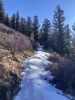 #1) Colorado trail