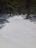 #5) These open areas were very solid on the way up in the morning