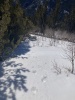 #6) Looking down south-facing area near point 11,420
