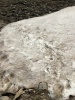 #1) THE snow crossing