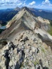 #8) Ridge