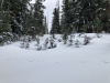#5) Wind drifted snow on ridge proper #5) Wind drifted snow on ridge proper