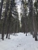 #2) Trail to DP #2) Trail to DP