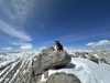 #5) Peak Chaser's first 14'er #5) Peak Chaser's first 14'er