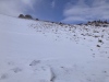 #3) Turned up here towards these towers after Jims Grove #3) Turned up here towards these towers after Jims Grove