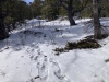 #8) Trench example, often little snow lower down #8) Trench example, often little snow lower down