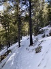 #2) Forest switchbacks #2) Forest switchbacks