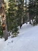 #2) Trench up to gully below treeline