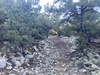 #1) On branch road near 8900ft #1) On branch road near 8900ft