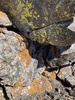 #9) Neon lichen cave