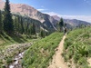 #1) Wildflowers