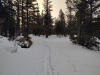 #3) looking back at the summer pulloff. No signs of recent vehicles