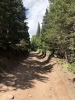#3) west side of pass, right side of road is washed out