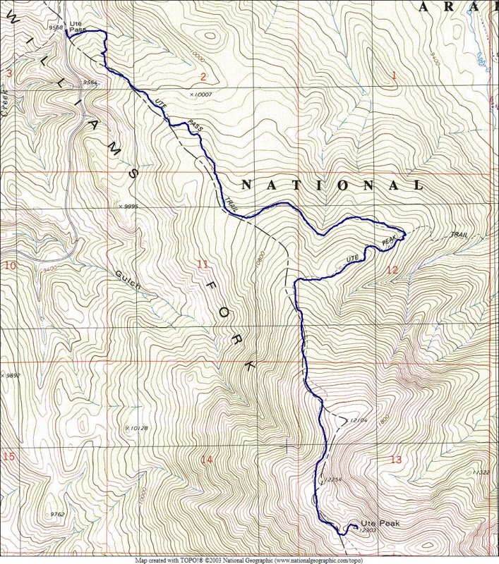 18615_41