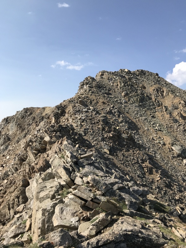 Photo #16 18813_16