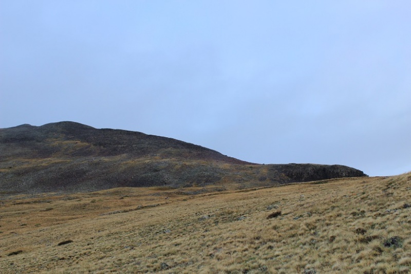 Photo #1 18936_01