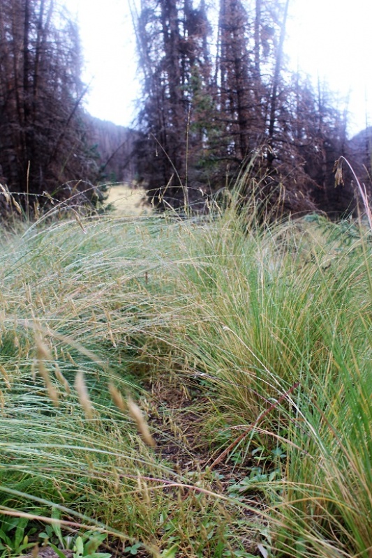 Photo #4 18936_04