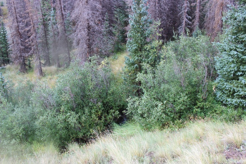 Photo #5 18936_05