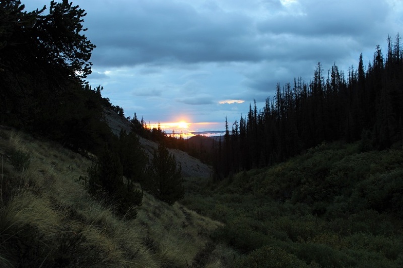 Photo #7 18936_07