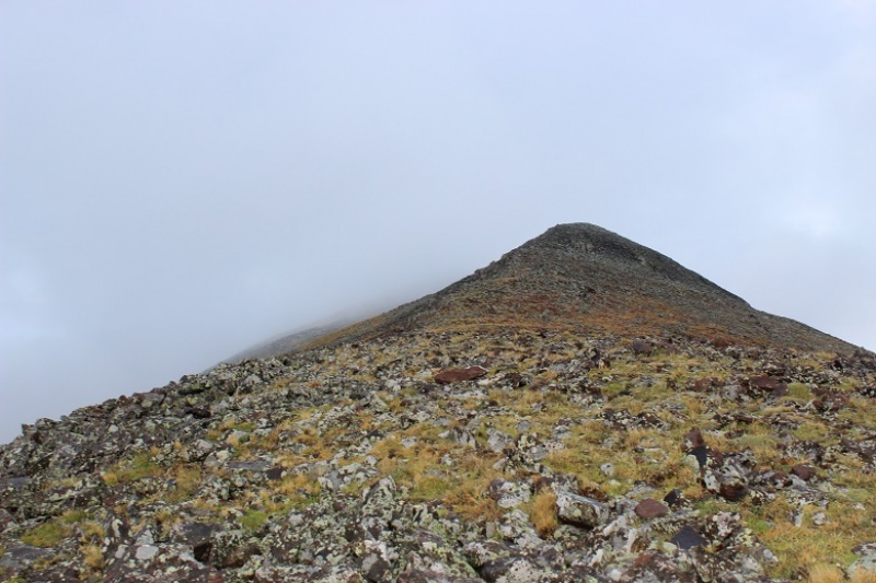 Photo #9 18936_09