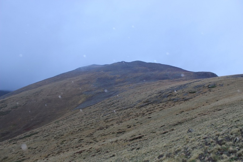 Photo #13 18936_13