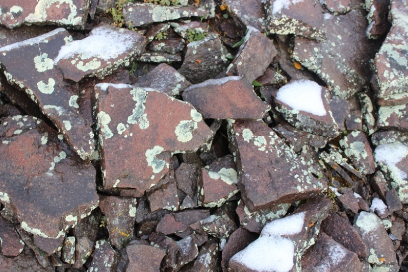 Photo #14 18936_14