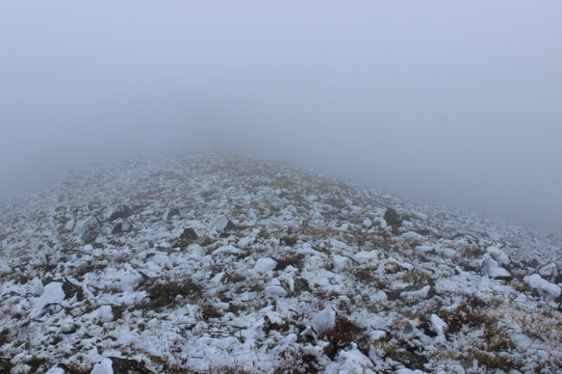 Photo #17 18936_17