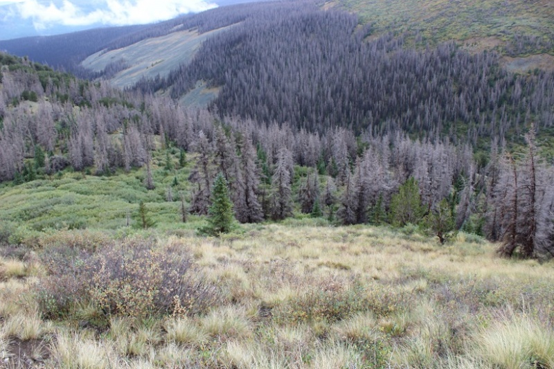 Photo #22 18936_22
