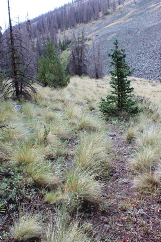 Photo #23 18936_23