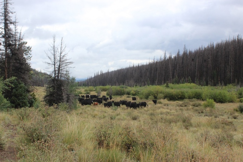 Photo #24 18936_24