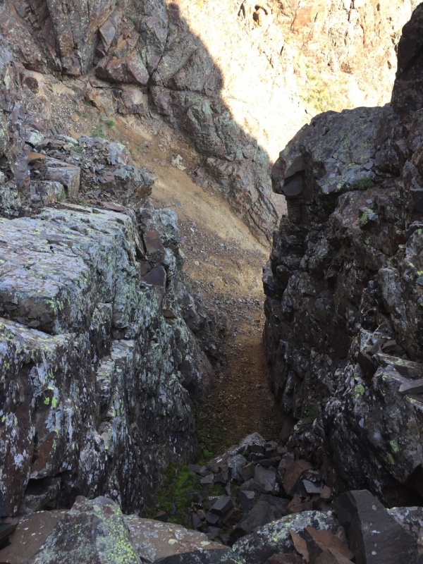 Photo #9 18982_09