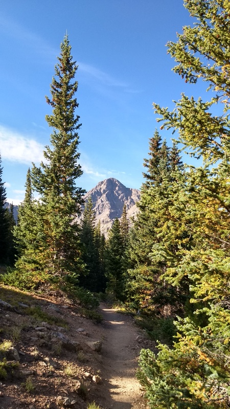 Photo #4 18990_04