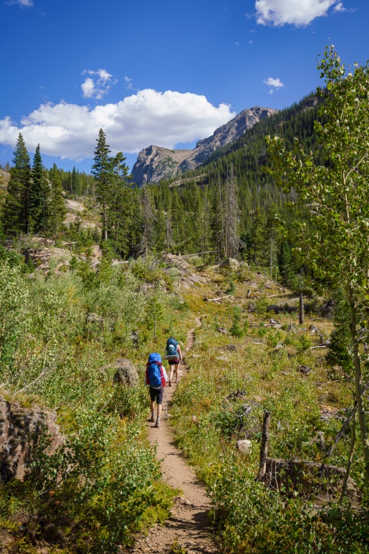 Photo #45 19054_45