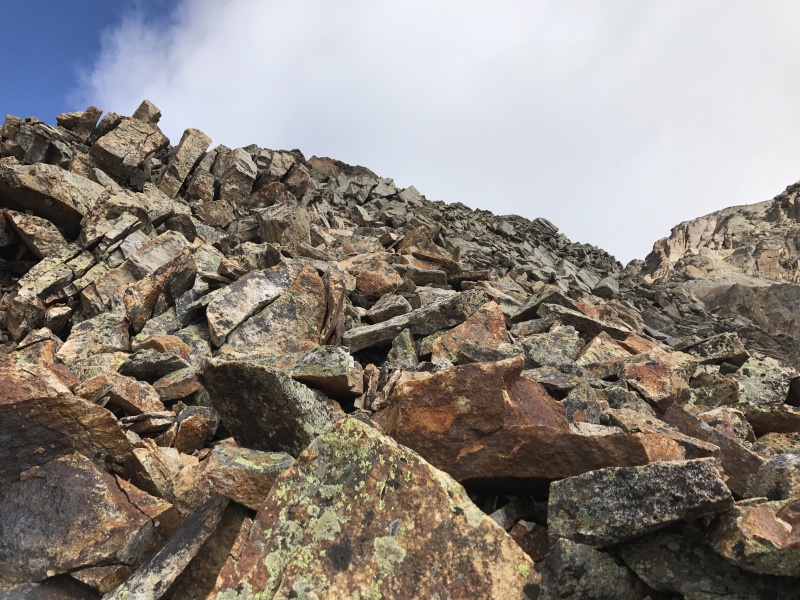 Photo #8 19154_08